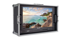 seetec p1739hsdco carry on broadcast monitor seetec flight case
