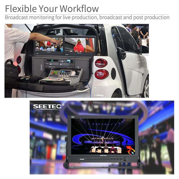 SEETEC P173-9HSD 17.3 INCH 1920X1080 BROADCAST DIRECTOR MONITOR WITH SDI 4K HDMI - Feelworld