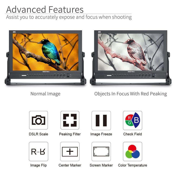 SEETEC P173-9HSD 17.3 INCH 1920X1080 BROADCAST DIRECTOR MONITOR WITH SDI 4K HDMI - Feelworld